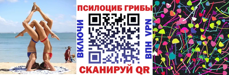 Псилоцибиновые грибы Magic Shrooms  где найти   Красный Холм 